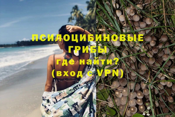 не бодяженный Козельск